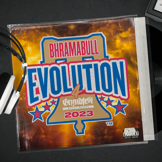 Evolution 4 Album 12-Inch Vinyl [Limited Edition]